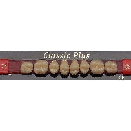 Zęby Classic Plus boki GÓRA fason 74