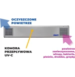 Lampa Bakteriobójcza NBVE 110 N 2x55W Naścienna