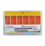Gutaperka Meta