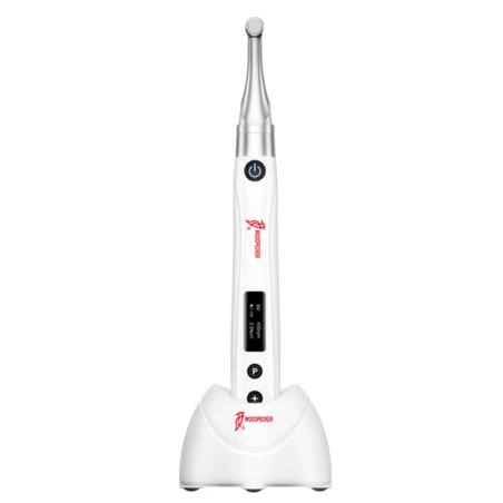 Mikromotor WD ENDO Free Woodpecker