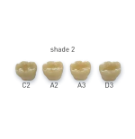 Pureshade Kompozyt 4g