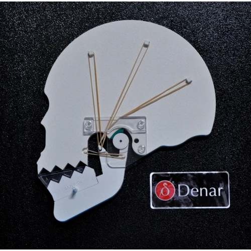 TMJ Tutor - demonstrator problemów okluzyjnych