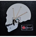 TMJ Tutor - demonstrator problemów okluzyjnych