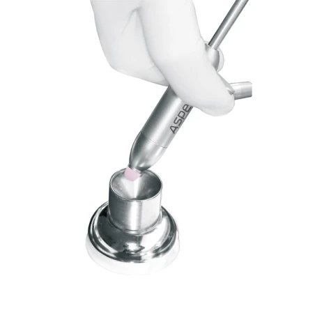 Aspeo - ssak zbierający kość