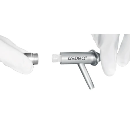 Aspeo - ssak zbierający kość