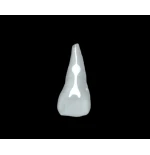 BIOMED 3D Tooth - Ząb treningowy - 9 z resorpcją