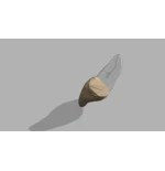 BIOMED 3D Tooth - Ząb treningowy - 9 Skalcyfikowany