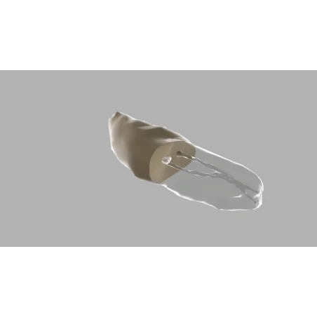 BIOMED 3D Tooth - Ząb treningowy - 25