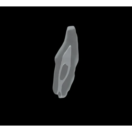BIOMED 3D Tooth - Ząb treningowy - 25