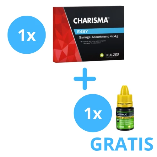 2x Charisma E4SY Assortment 4x4g +  Gluma Bond Universal 4ml