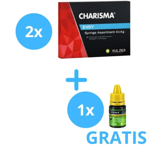 2x Charisma E4SY Assortment 4x4g +  Gluma Bond Universal 4ml