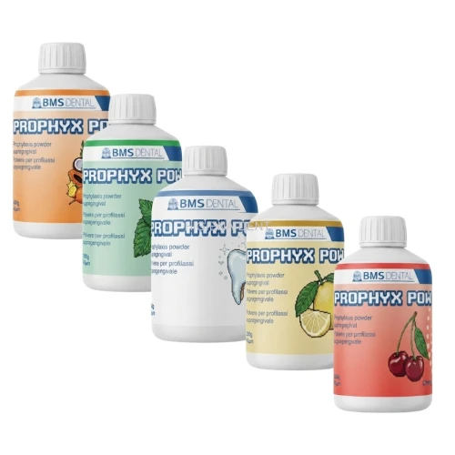 Prophyx Pow Piasek BMS Dental