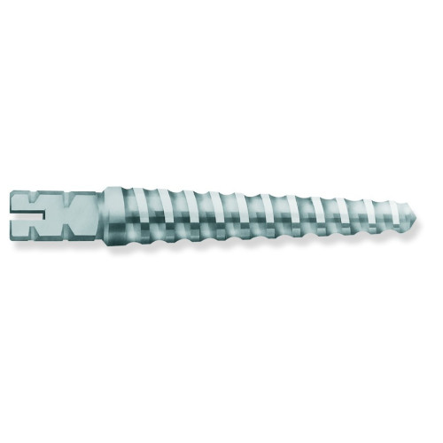 Wkłady koronowo-korzeniowe  UNIMETRIC op 25 szt Dentsply Maillefer
