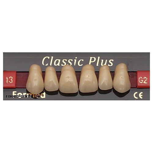 Zęby Classic Plus Fason 13