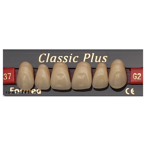 Zęby Classic Plus fason 37