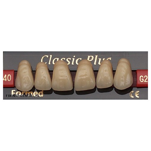 Zęby Classic Plus fason 40