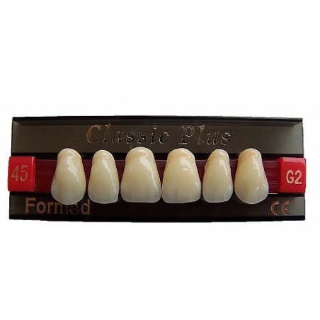 Zęby Classic Plus fason 32