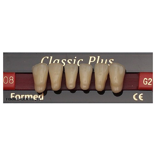 Zęby Classic Plus fason 08