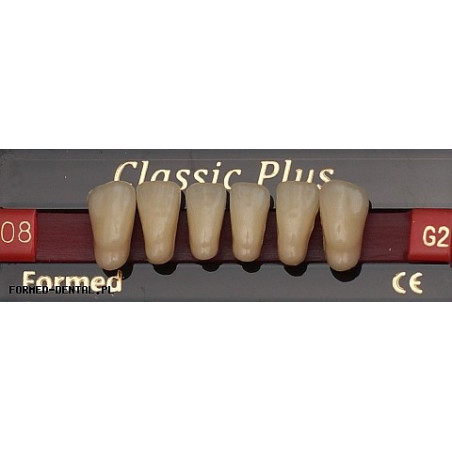 Zęby Classic Plus fason 08