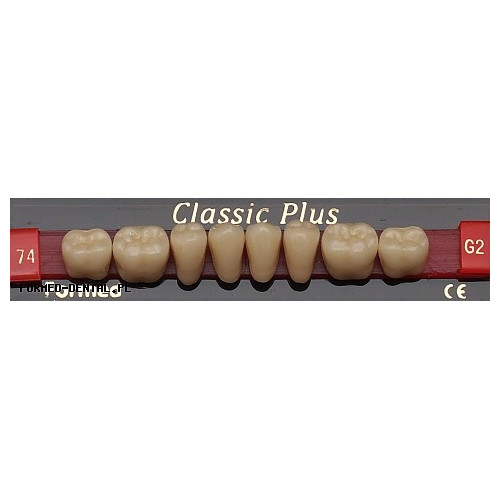 Zęby Classic Plus boki DÓŁ fason 74
