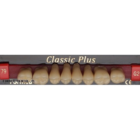 Zęby Classic Plus boki GÓRA fason 79